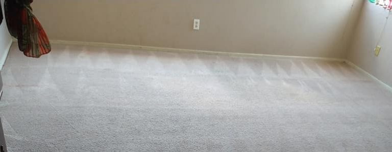 Clean Dry Carpets