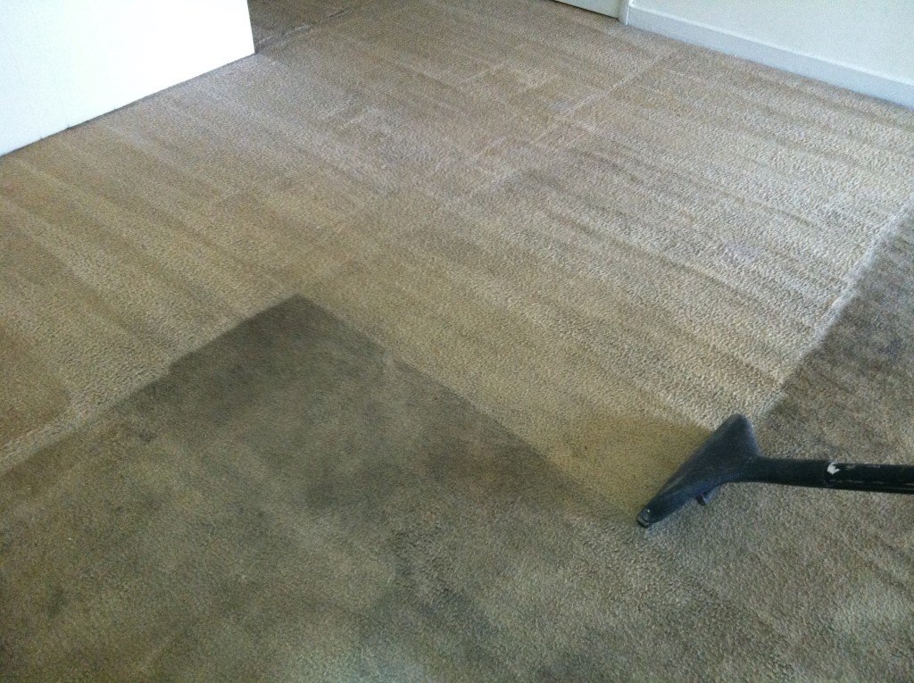 Carpet Get Dirty Repeatedly