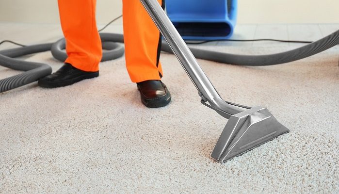 Carpet Cleaning Professional